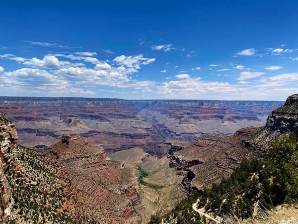 從竹科到亞利桑那（三）當竹科貴婦、職場強人變成「沙漠主婦」？台灣媽媽們的真心話